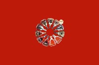 安康市镇坪县回收红酒